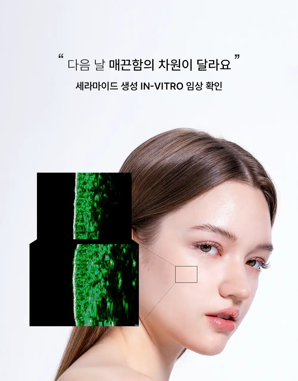 [NEW/파리의금손 Pick]하우스오브비 PDRN 페이스 필름 4매입 상세페이지 9